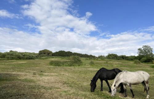 Les gîtes de la Courtille - Foto 21