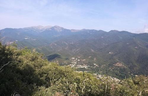 Rez de jardin cosy avec terrasse fleurie - Foto 9