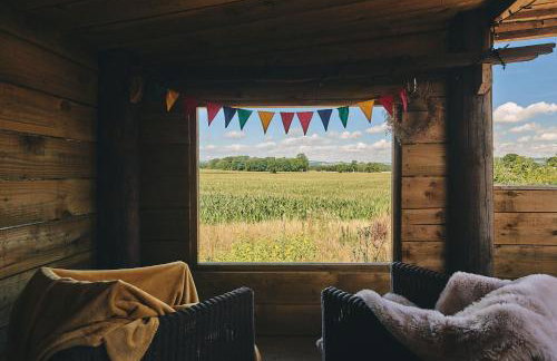 Curious Calf - Foto 12