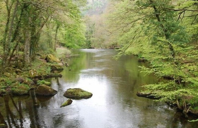 Rock House Cottage - Foto 16