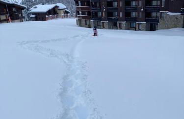 PARADISKI-BELLE PLAGNE, Altitude 2050m, APPART skis aux pieds 4 personnes - Foto 29