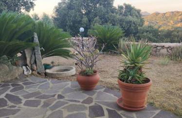 Belvedere Country House - Foto 58