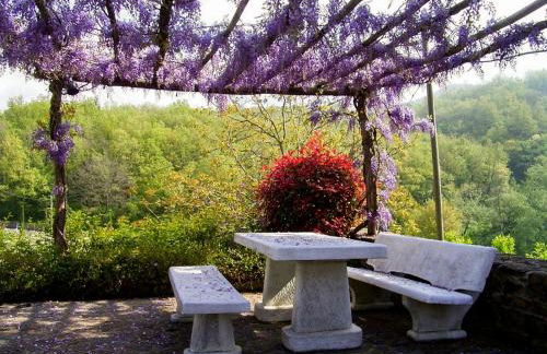 Borghetto Il Poggiolo Mugello - Affitti Brevi Italia - Foto 22