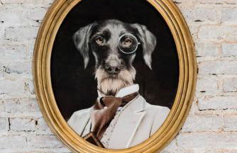 Lovely loft near Barcelona center - Photo 29