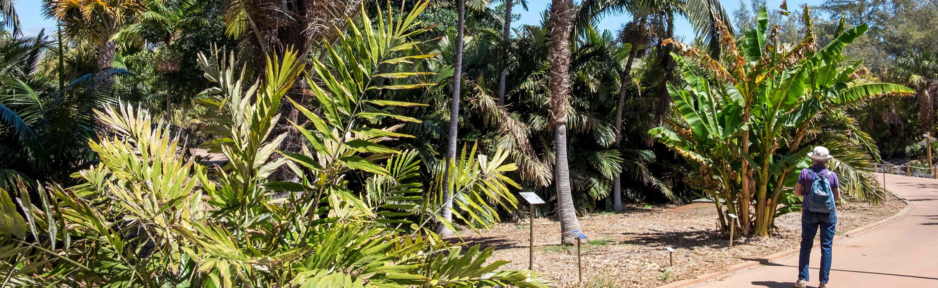 Biglietti del Palmetum