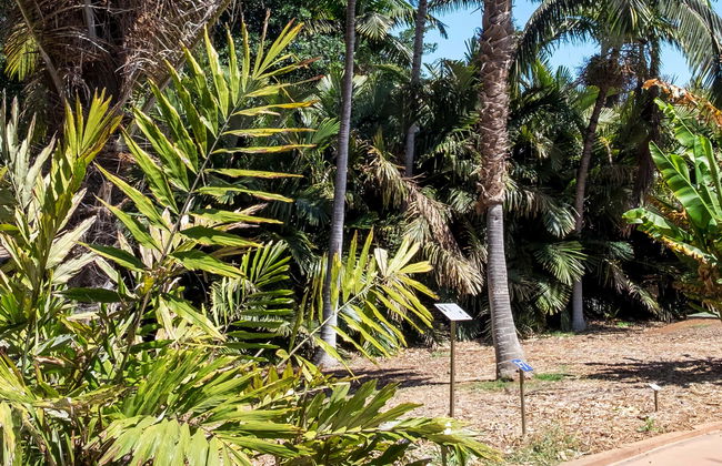 Biglietti del Palmetum - Foto 1