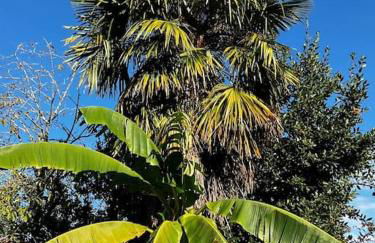 Lagunen etxea - Foto 30