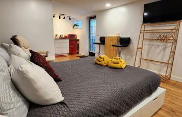 Hibiscus Suite - Private Studio Apartment in Rhinebeck Village - Foto 3