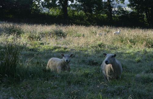 The Hay Loft - Foto 45