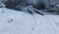 Les Délices de la Vie - Foto 2