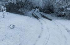 Les Délices de la Vie - Foto 2