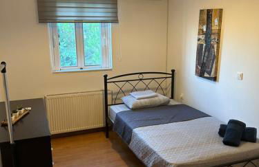 Among the pines - Foto 34