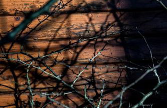 Bungalow B2 - Nature, Beach & River - Foto 12