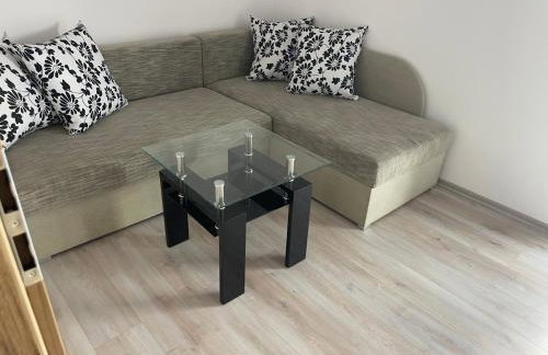 Beskid Penthouse Milówka - Photo 68