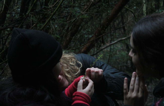 Senderos del Bosque Ecological Reserve Tour - Photo 8