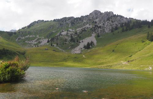 LATITUDE 47 - Foto 25