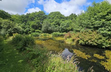 Roseland Valley Retreat - Photo 24