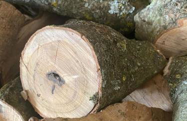 Spaniel Cottage with views of Ham hill, Stoke sub Hamdon - Photo 31