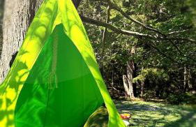 Creekside Family Dreamland - Hot Tub, Firepit, Arcade - Foto 66