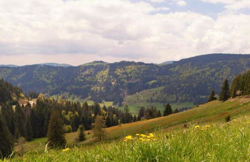 Relax-Apartments - Indoor-Pool - Sauna - Küche - kostenlos Parken - Balkon - teilweise Massagesessel - 85 Zoll Smart-TV - Foto 35