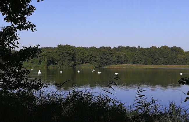 Apartment With Sauna and Fireplace in Bautzen - Foto 23