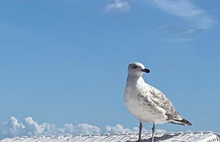 Ferienhaus Elida - Foto 23