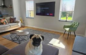 Benji & Milo's Farmhouse - Foto 42