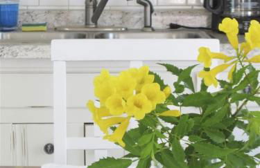 Coastal Cutie - Little Bay Club Cottage #3 - Photo 12