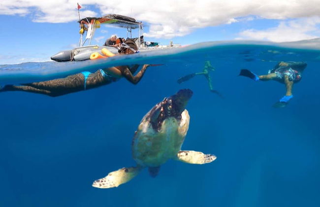 Snorkel y avistamiento de delfines en Lanai - Foto 1