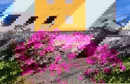 Apartamento Jardins D'Arriaga - Foto 21