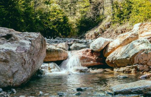 Intrepid Hotel Rural - Adults Only - Foto 20