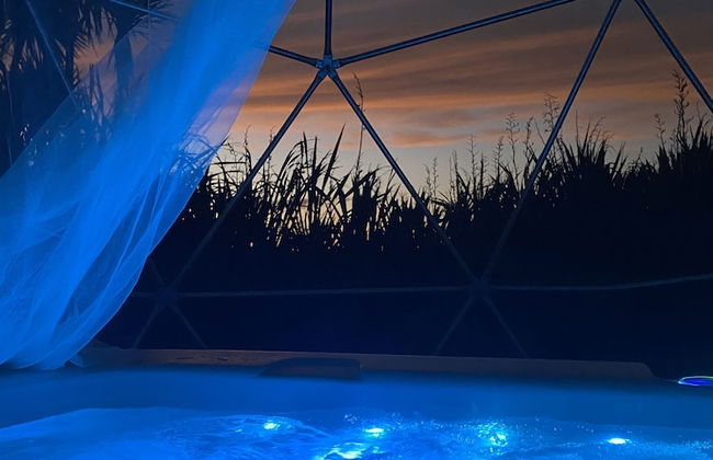 Ross Beach TOP 10 Holiday Park - Foto 52