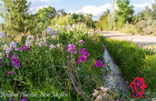 Hillside Haven Retreat - A Placitas Irvie Home - Foto 68