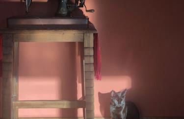 Casa Rural Trebol4Hojas - Foto 6