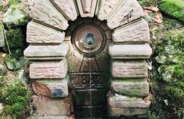 Haus Jenni im Schwarzwald, 3,5-Zimmer, große Terrasse - Foto 62