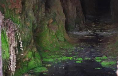 O Busto Aldea Rural - Foto 60