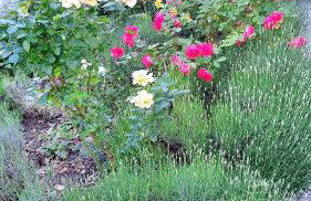 sehr schöne Ferienwohnung in Ebersberg bei München - Foto 20