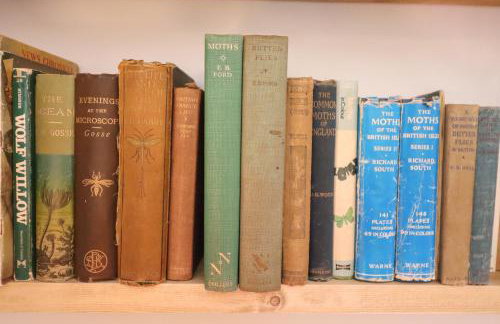 Warren Cottage - Photo 5