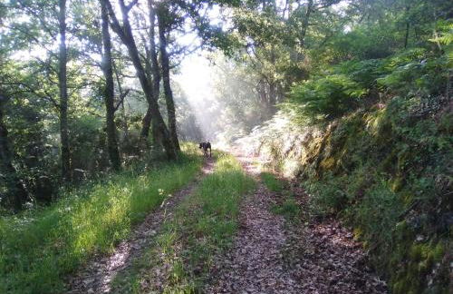 Casa da Viña - Ribeira Sacra - Foto 30