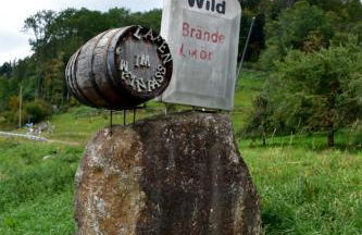 Renatas Ferienwohnung Sasbachwalden - Foto 45