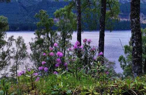 Lochside, 1 The Corries - Foto 34