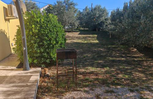 Robinson's house - Foto 10