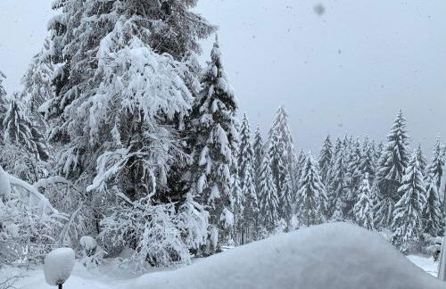 Lacasinapungitopo - Photo 24