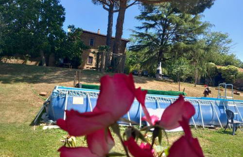 Tenuta Vallenoci - Foto 7