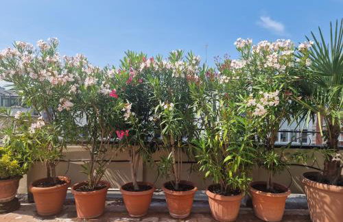 "Pier's House" - Attico a 3 chilometri dal Centro Città - Foto 71