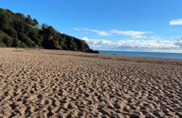 Dart Dream - Foto 33