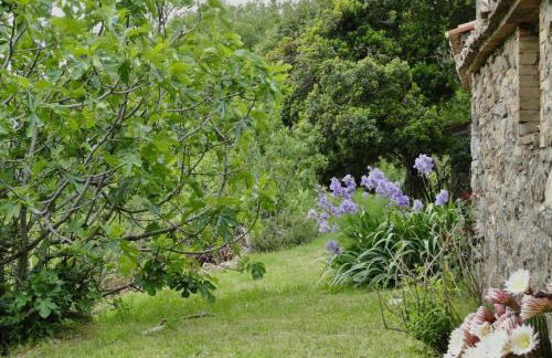 Borgo Petraio - Foto 27