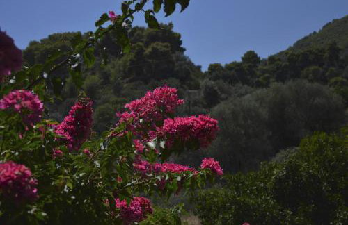 Spiti Portokali - Photo 26