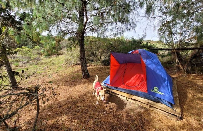 Glamping Paraiso de Tausa - Photo 45