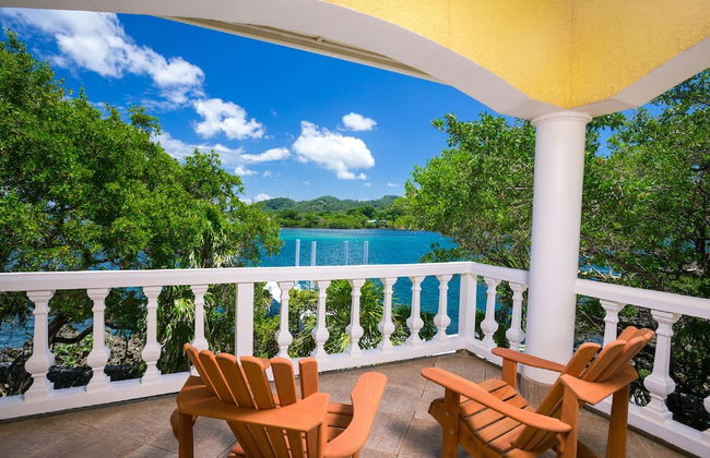 Yellow Bird - Foto 13